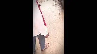 My second vlog video 8.9M view  1  hour  ago