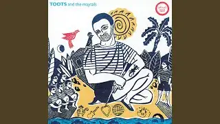 Reggae Got Soul