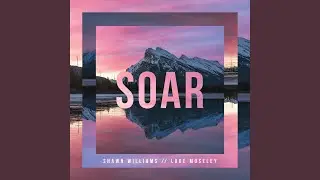 Soar