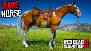 4 Rare American Paint Horses (Location & Rankings) - RDR 2