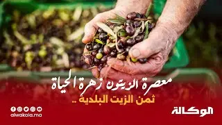 مباشرة ..من معصرة الزيتون  زهرة الحياة .. هده أثمنة  الزيت البلدية