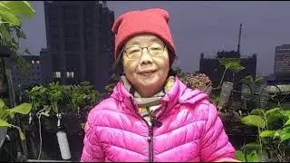 「Amy TV阿美美/」正在直播！