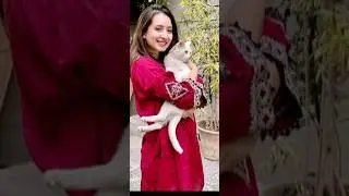 Pakistani Actress Komal Aziz khan beautiful look 💞 💞 #pakistanicelebrities #shorts
