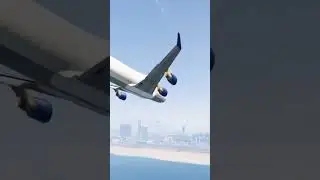 Cow Accidently Came During Airplane Landing