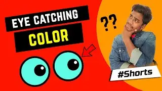 Eye Catching Color कोनसा है ? | Which color is more attractive #Shorts