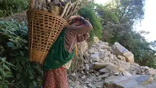 Carrying firewood by mother for cooking purpose || Traditional life