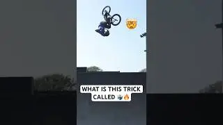 Name the trick? Alex Coleborn mastery on his Total BMX setup #bmx #totalbmx #bmxplus #mtb