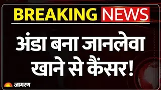 Breaking News: अंडे खाने वालों के लिए बड़ी खबर| Eggs|Hindi News| Cancer| Boiled Egg| Egg Side Effect