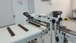 cargador de  alfajor de arroz Alipack S.A.