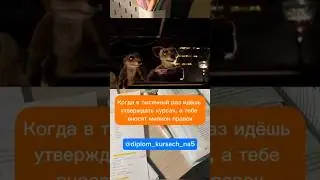 Помогаю с учёбой) inst: @diplom_kursach_na5 #мем #пары #курсач #помощь #студенты #учёба #курсовая