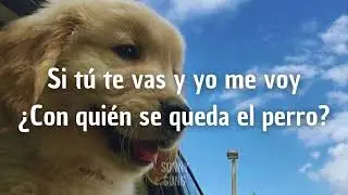 ☀️¿Con Quién Se Queda El Perro?-Jesse & Joy(LETRA)☀️