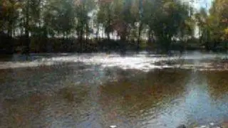 Crosley fall picture