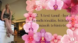 2. A test tanul -korai komdiciónálás, kötődés, mások tekintete