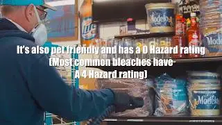 Professional Disinfection Service