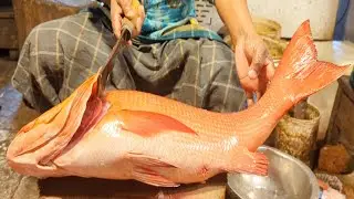Giant Red Snapper Fish Cutting Live In Bangladesh | Amazing Cutting Skills