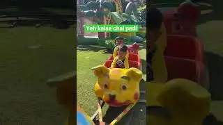 Train ride in jungle safari #train #birthday #party #kids #masti #ytshorts #viral #twins #trending