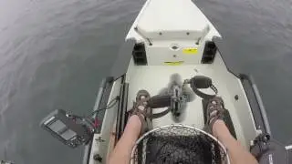 Lake Goodwin Still Fishing 9/3/2016