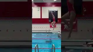 104C- 1 Meter Diving #divingboard #diving