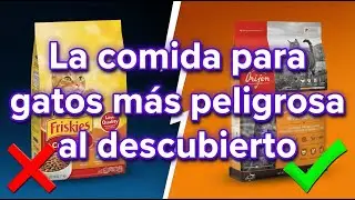 10 marcas de comida para gatos que debes EVITAR a toda costa (y algunas seguras)