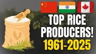 Top Rice Producing Countries in the World (1961&ndash;2025) 🌾 | The Largest Rice Producers Globally