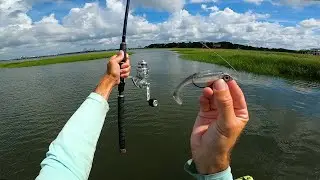 Two Days Fishing Coastal Virginia and South Carolina For What Ever Is Biting