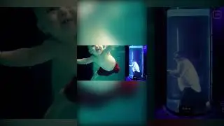 Как работает нырятельный рефлекс  #veritasium #vertdider #наука