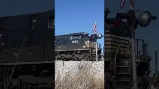 #shorts NS SD70ACe trailing on CP 231