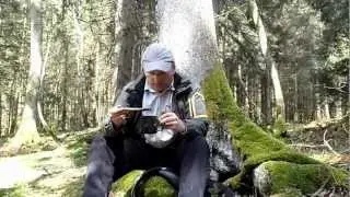 Bushcraft Survival Foraging Wild Edibles and a new Knife
