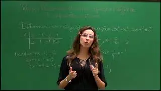 Raízes Racionais de uma Equação Algébrica com Coeficientes Inteiros