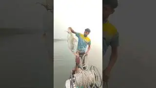 Catching big fish with 5 kg fish bait #foryou #fishing