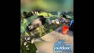 Inground Pool Transformation