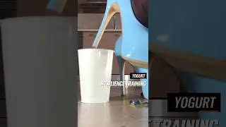 Ice Heels vs. Yogurt! Oddly Satisfying Food Crushing! ASMR