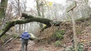 Soriano nel Cimino - Faggeta Del Cimino e Ristorante Baita 2018