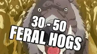 30-50 FERAL HOGS | THEY'RE COMING FOR YOUR KIDS IN 3-5 MINS