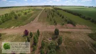 Hoette Farms & Nursery 2 &ndash; Family Operated & Owned Since 1979