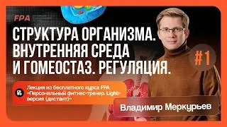 Структура организма. Внутренняя среда и гомеостаз. Регуляция. Часть 1