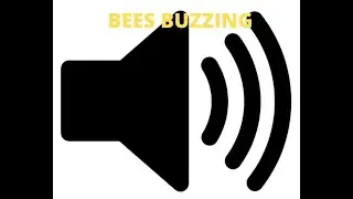 bees buzzing-sound effect