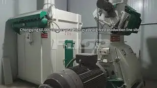 Chongqing pig feed project undertaken by FDSP has been successfully completed and accepted