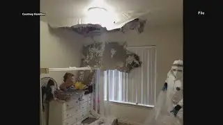 Army family awarded $10.3 million after living in mold-infested military housing