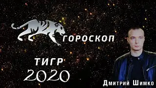 Гороскоп Тигр -2020. Астротиполог, Нумеролог - Дмитрий Шимко