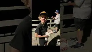 The Dry Hook fishing dance = Catching More Fish!
