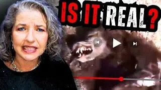 SHOCKING Discovery: Dead &ldquo;WEREWOLF&rdquo; Caught on Video in Brazil 2024