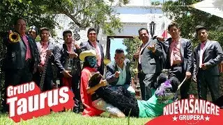 Musical: Grupo Taurus - Chica Sonidera