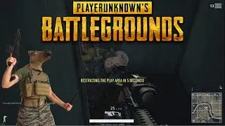 PlayerUnknown's Battlegrounds - Vector Surprise - Solo Victory