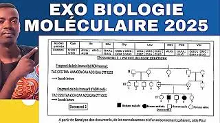 Pourquoi  enfants sont malades alors que leurs parents sont sains ?  Correction Génétique (Bac SVT)