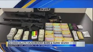 21 chocolate mushroom bars and guns seized