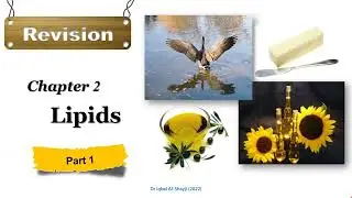 3. Lipids Revision: Part 1