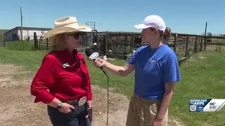 Nebraska Grazing Lands Coalition lead ranch tours through Custer County grasslands