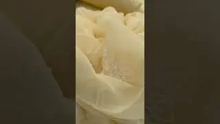 Pakistani dresses Bareeze designer wear chicken kari