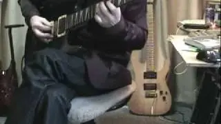 Shawn Lane　The Way It Has to Be　(cover)